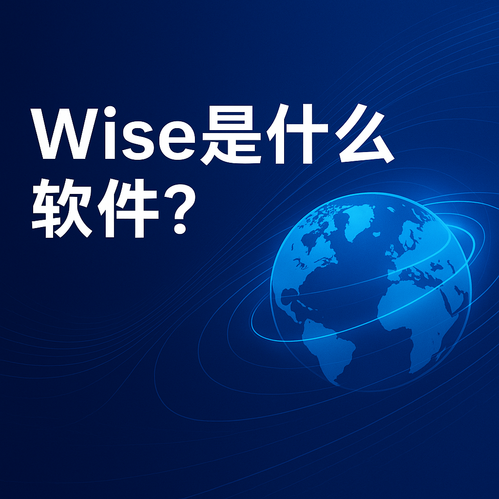 Wise好用嗎？
