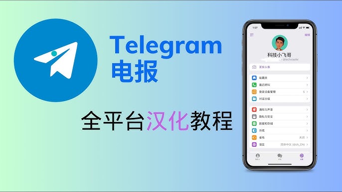 電報手機版如何漢化？安卓與 iOS 區別說明